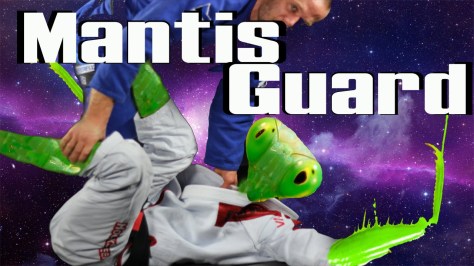 mantis_doing_mantis_guard